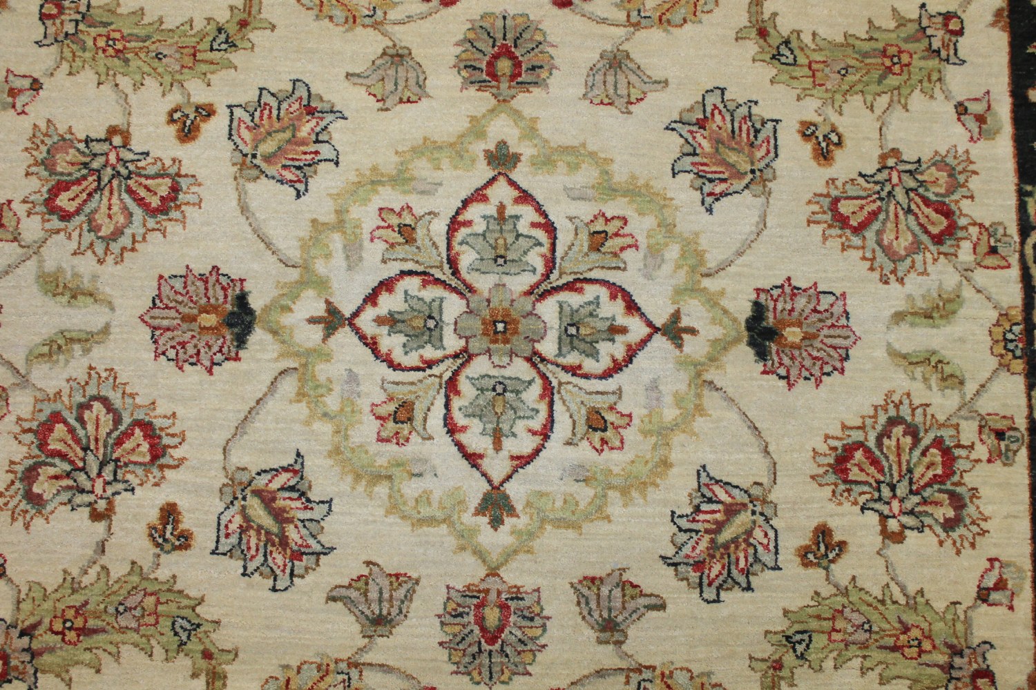 6x9 Traditional Hand Knotted Wool Area Rug - MR024944