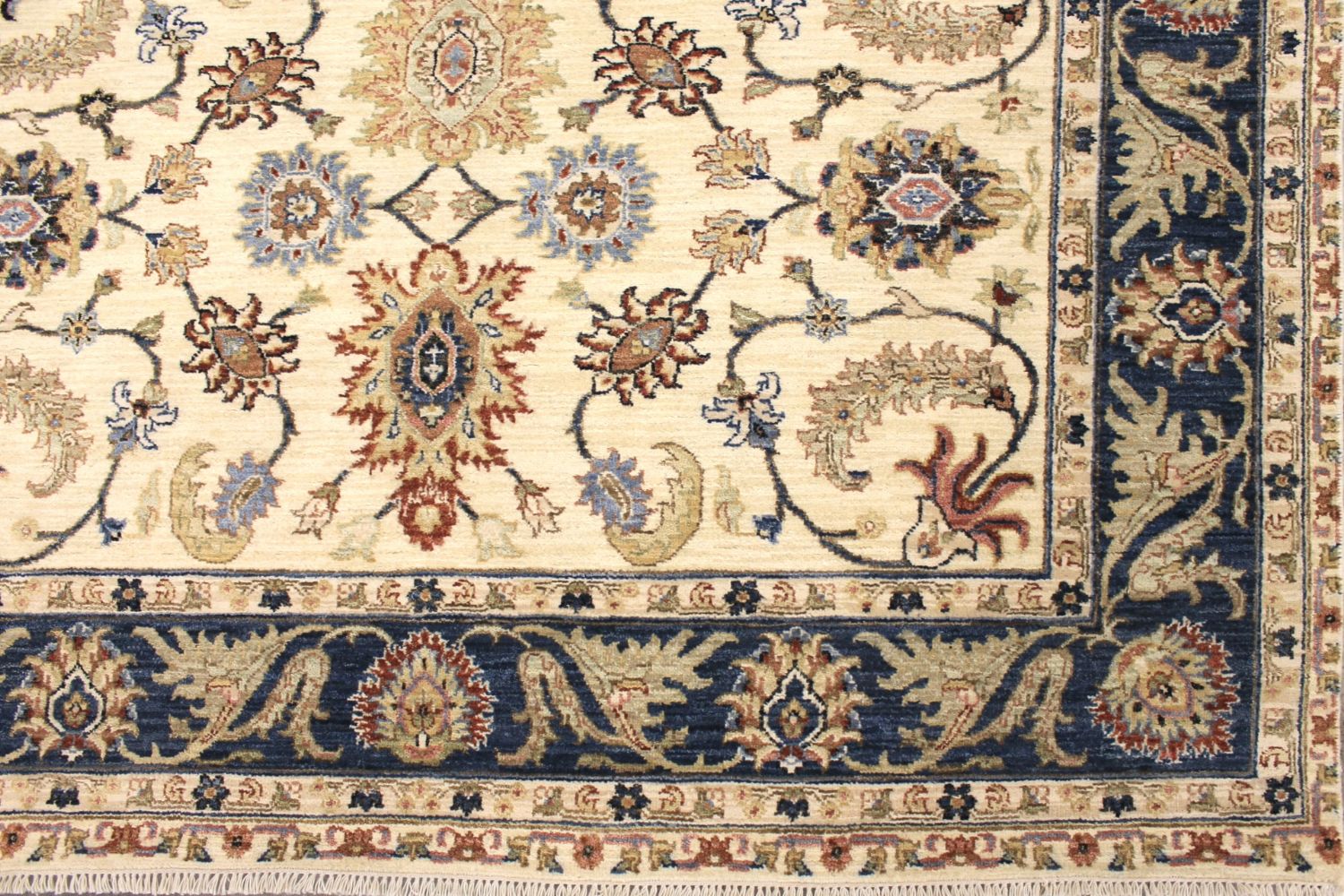 6x9 Traditional Hand Knotted Wool Area Rug - MR029616
