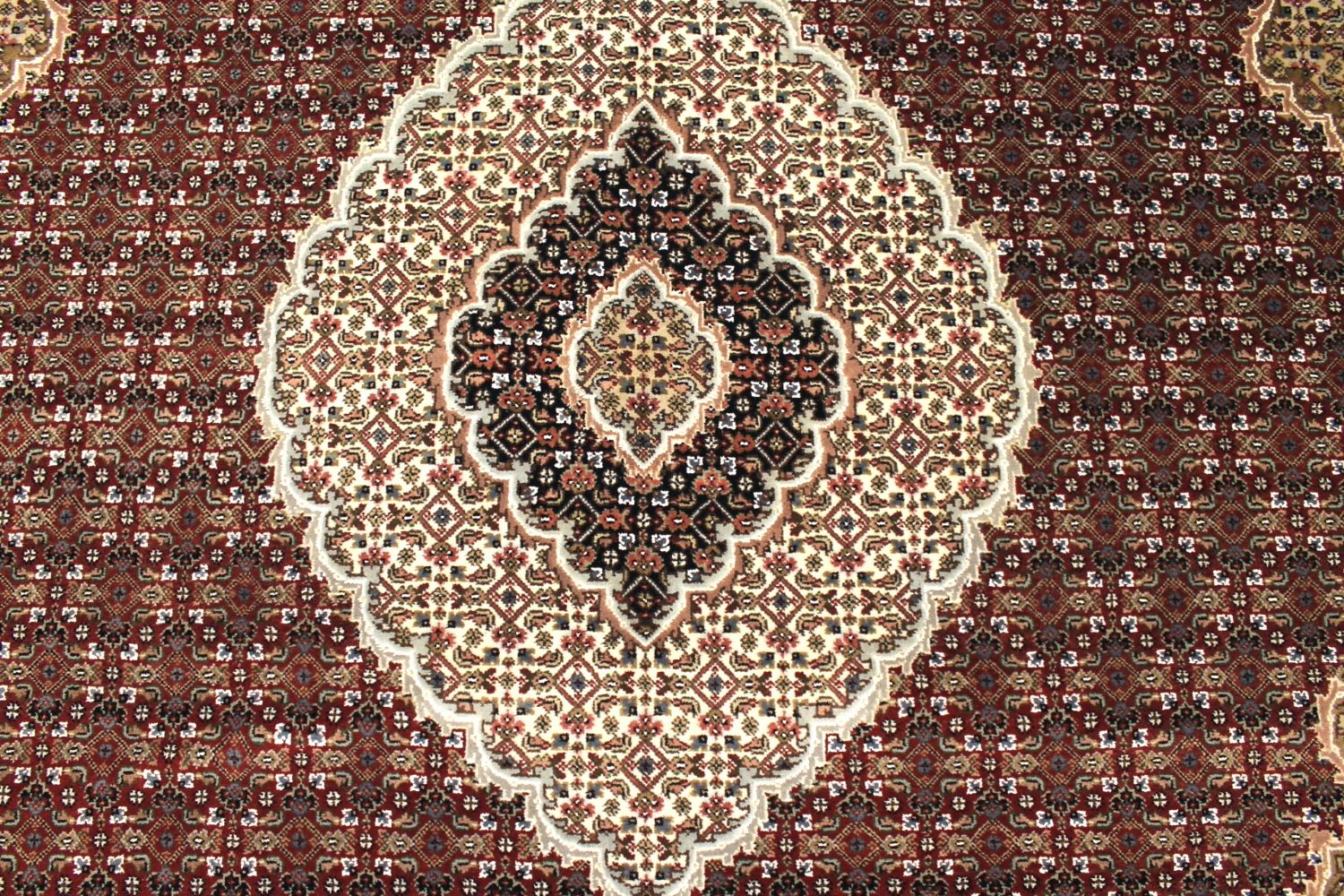 8x10 Traditional Hand Knotted Wool Area Rug - MR029721