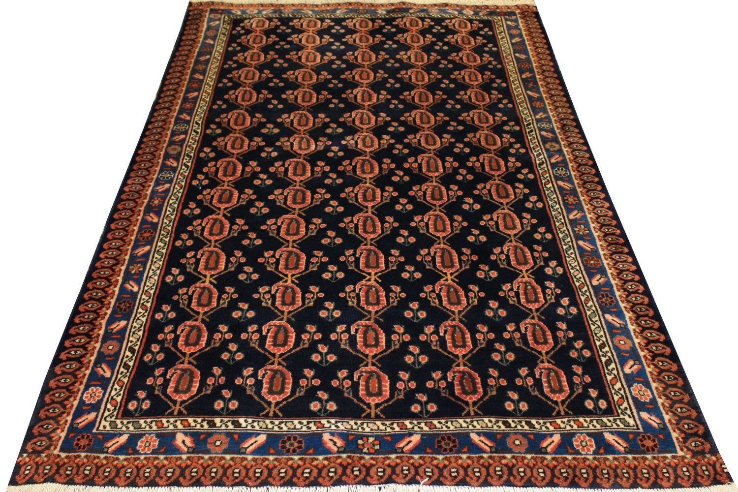 5x7/8 Traditional Hand Knotted Wool Area Rug - MR0580