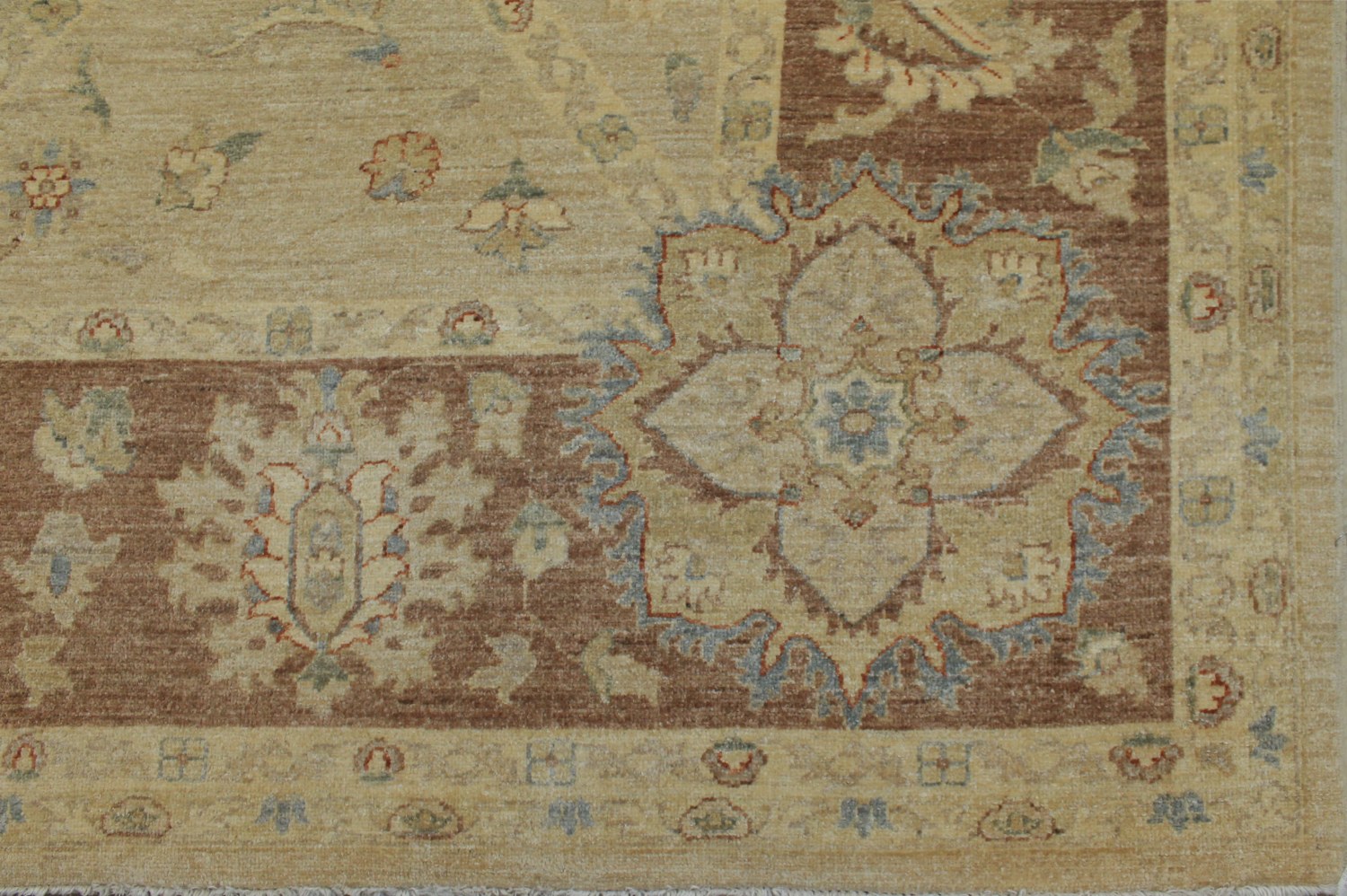 9x12 Peshawar Hand Knotted Wool Area Rug - MR11077