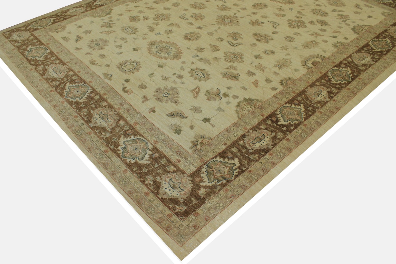 9x12 Peshawar Hand Knotted Wool Area Rug - MR11869
