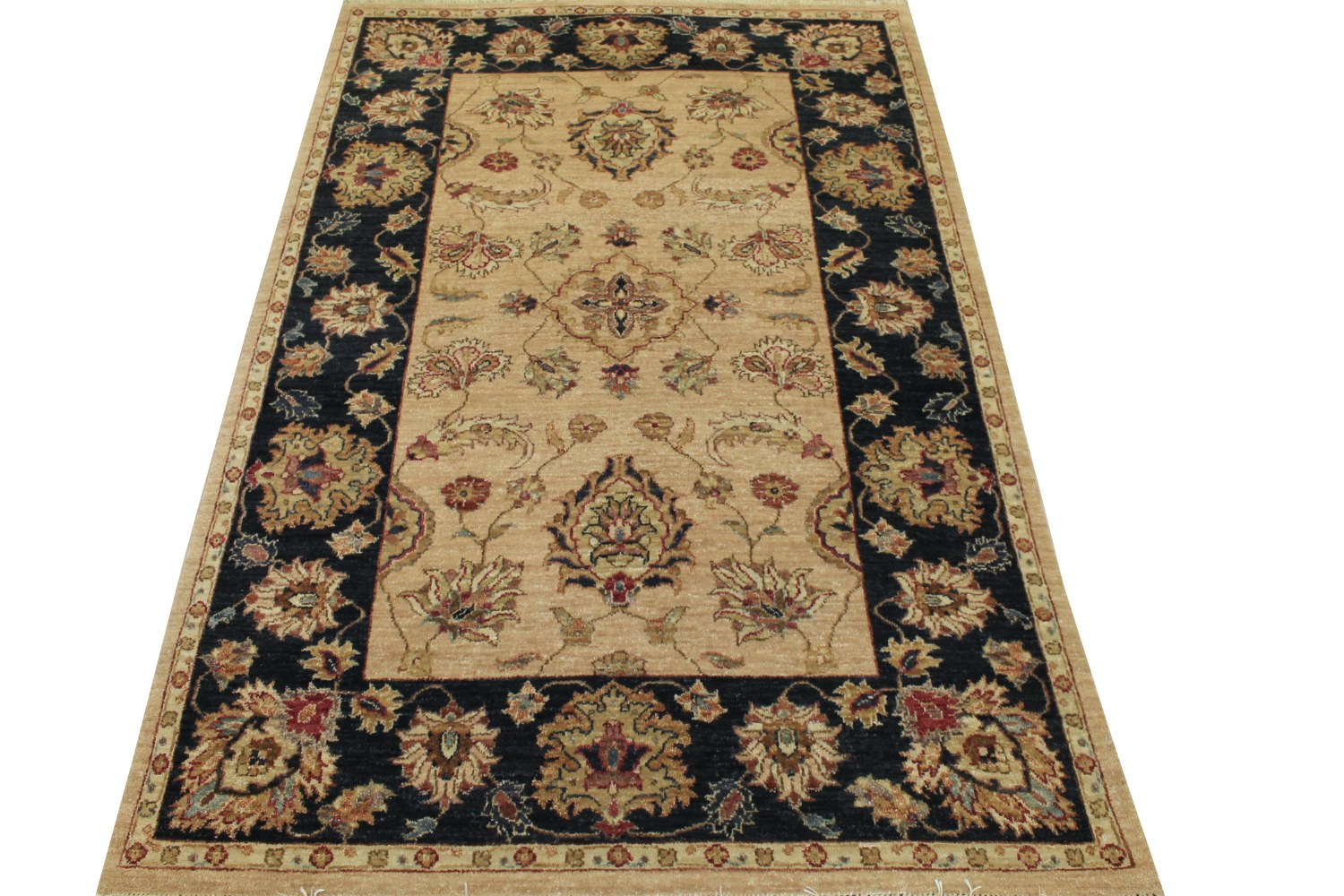 4x6 Traditional Hand Knotted Wool Area Rug - MR12284