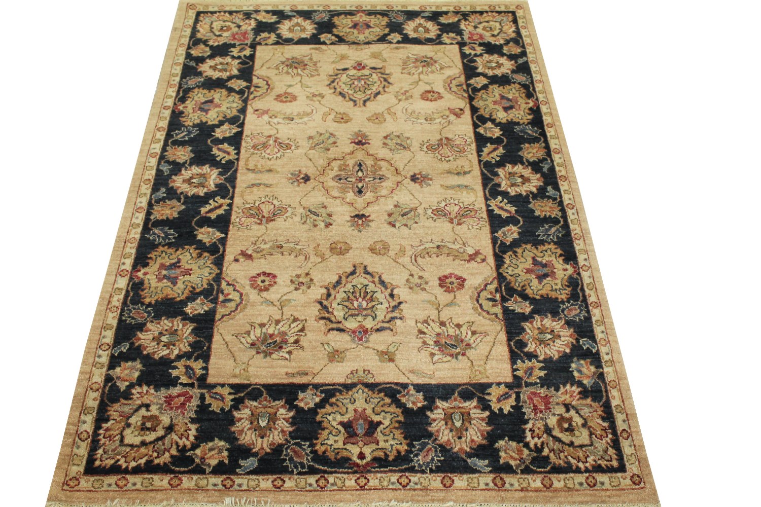 4x6 Traditional Hand Knotted Wool Area Rug - MR12284