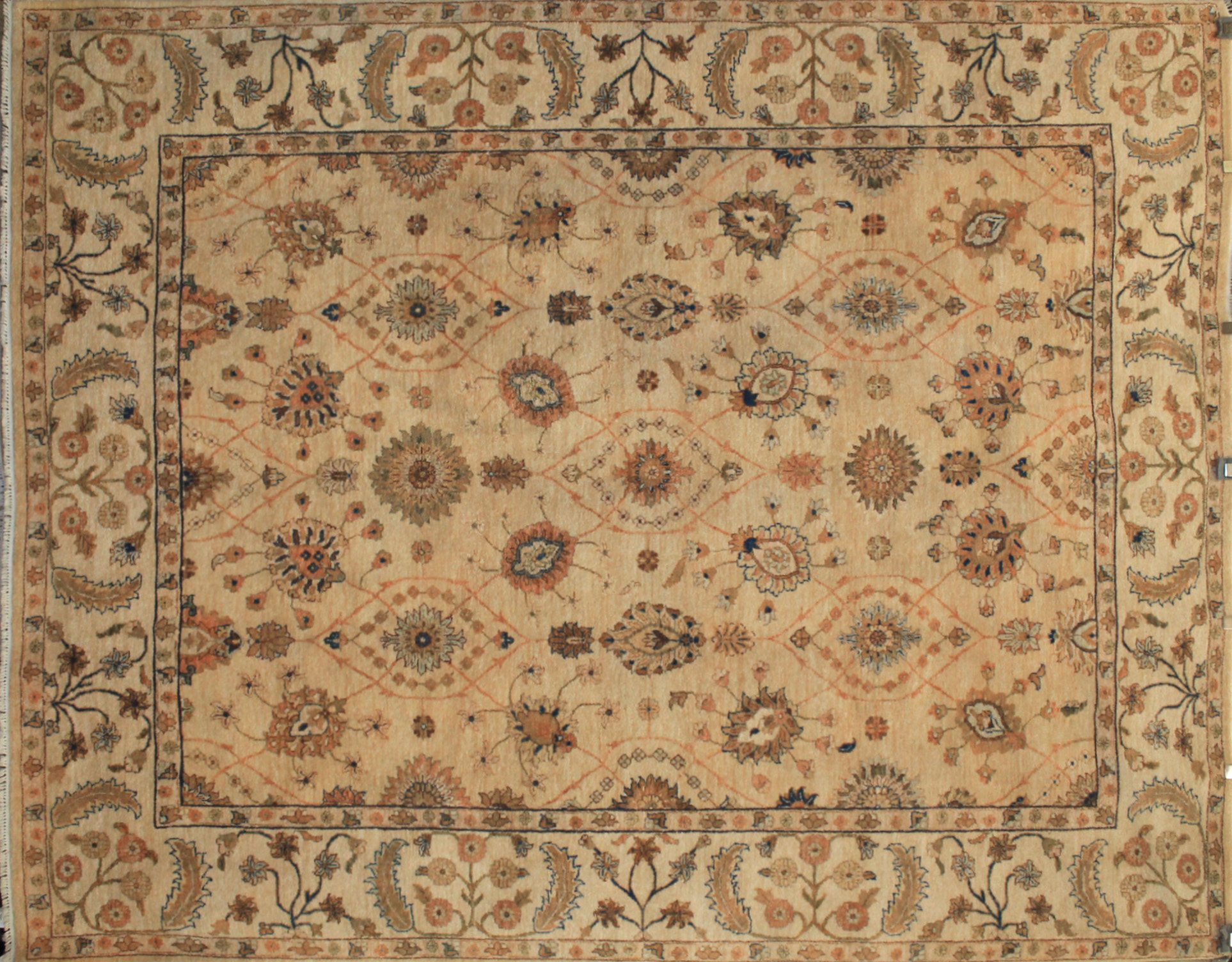 8x10 Traditional Hand Knotted Wool Area Rug - MR3266