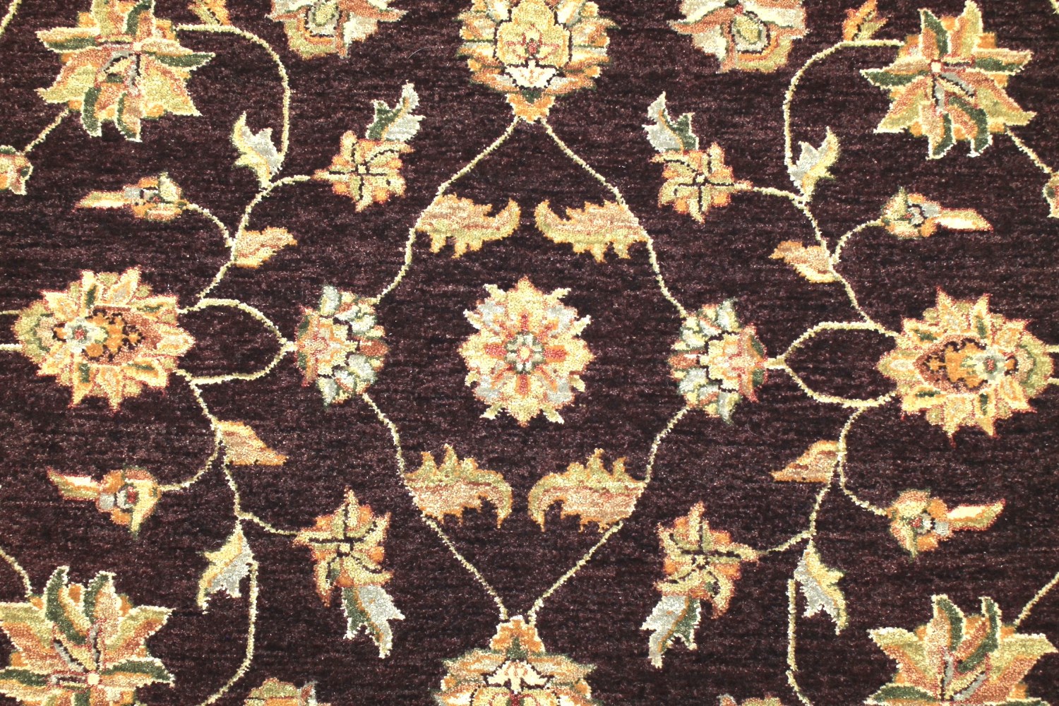 6x9 Traditional Hand Knotted Wool Area Rug - MR4833