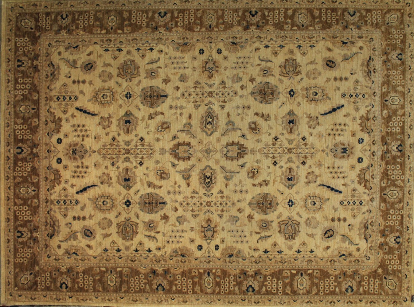 9x12 Peshawar Hand Knotted Wool Area Rug - MR9404