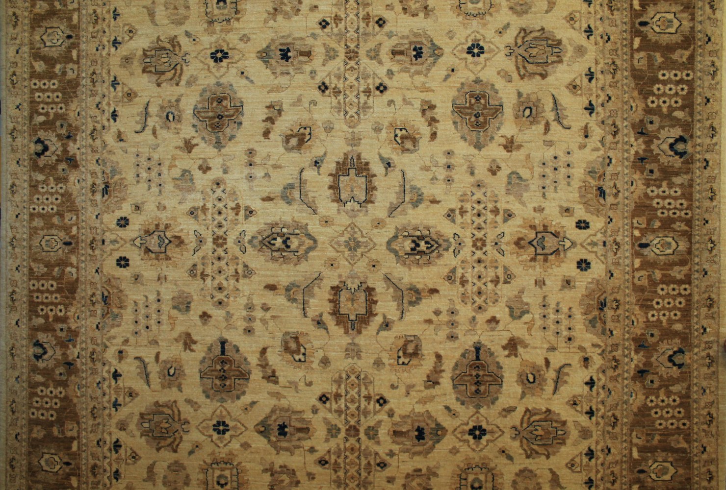 9x12 Peshawar Hand Knotted Wool Area Rug - MR9404